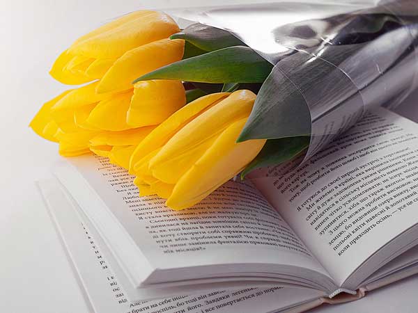 Quicquam Esse Savius Wuam